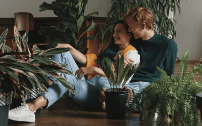 Se incrementa el interés de los jóvenes que quieren ser propietarios: un 25% busca vivienda para comprar