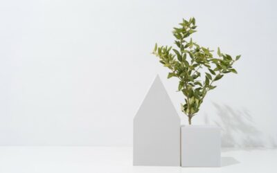 Cómo convertir tu casa en una vivienda sostenible: lo que debes saber