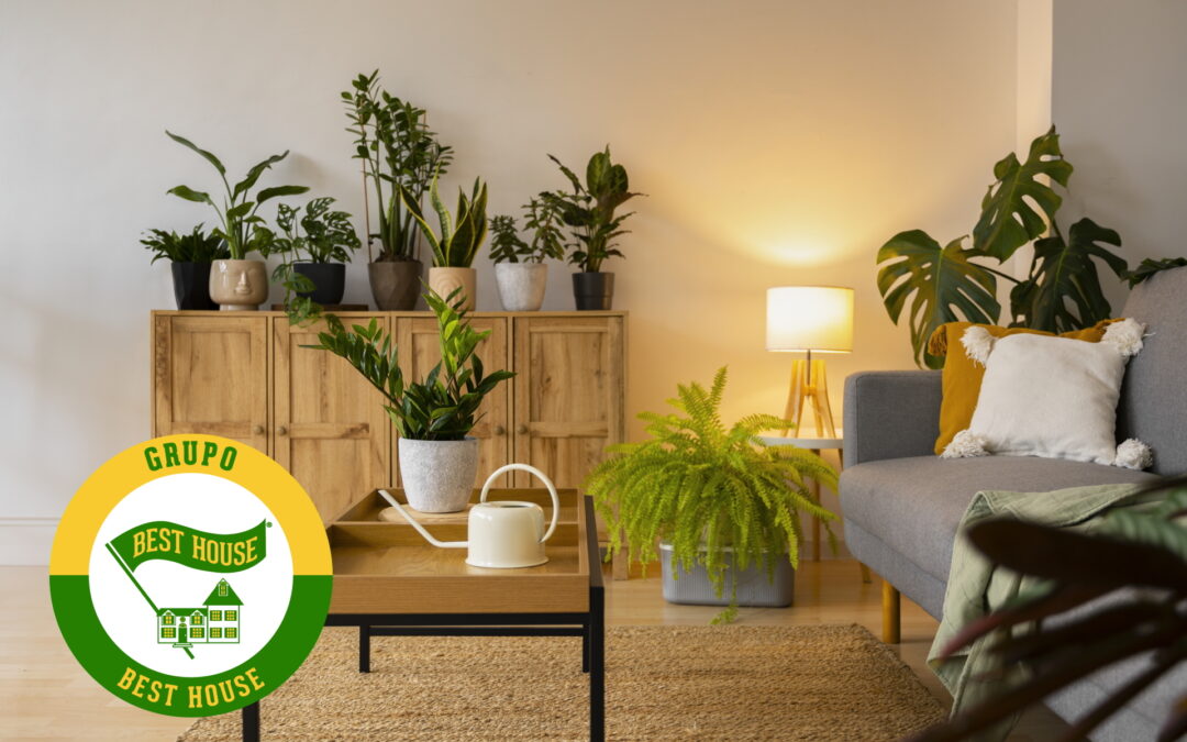 Home Staging Verde: Técnicas de puesta en valor ecológicas que aceleran la venta, por Best House